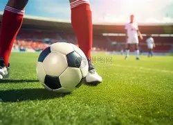 国字号豪强,全力以赴迎,亚冠生死战,亚博体育,Yabo,Sports,亚博体育官网,亚博体育官网,亚博体育下载,亚博体育APP