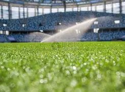 曼联英超征,程后防告急,轮丢,亚博体育,Yabo,Sports,亚博体育官网,亚博体育官网,亚博体育下载,亚博体育APP