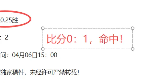 2025中超赛季开赛时间揭晓